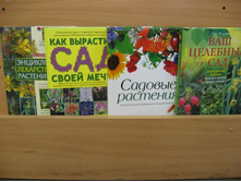 ����� ���������� �������