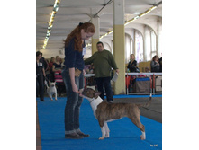 35-DSC_1063.jpg