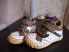 ��������� PRIMIGI �-� 23