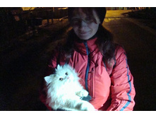 ����������� �������