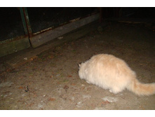 ����� �� ����� ����������!