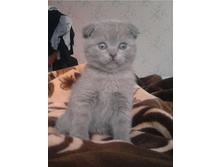 ���� ����