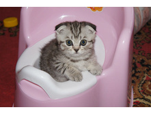 ����� � ������� ������