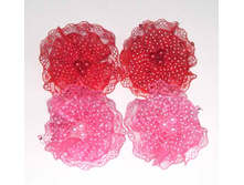 25 ���. �������-���� �������