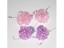 23 ���. ������ � ��������