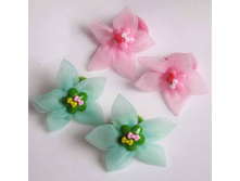 21 ���. �������-���� �����