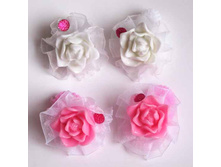 24 ���. �������-���� ����