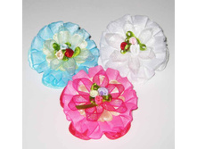 25 ���. �������