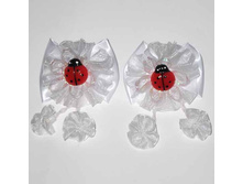 37 ���. �������-���� ����� ������� � �������