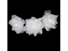 30 ���. ������� ����