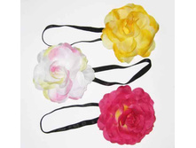 36 ���. ������� � �����