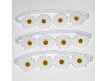 38 ���. ������� �������-����