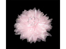 49 ���. ������� 