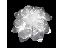 93 ���. ���� �����������