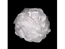 79 ���. ���� �������� �����������