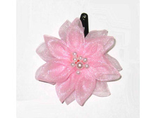 31 ���. ������� �������