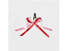 13 ���. ������� ����-����