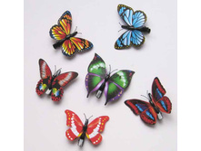 15 ���. �������