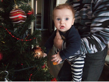 5 �������