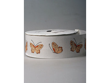 ����� �������� � ���������.JPG