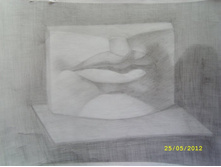 SL272475.JPG