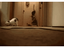 Ni3vU.gif