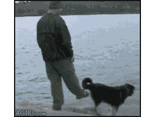 tumblr_lxmdcrh7BC1qdlh1io1_250.gif