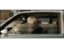 tumblr_lywr3uPpET1qdlh1io1_400.gif