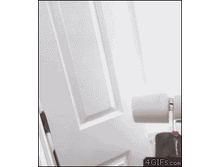 tumblr_m69ucsXEXy1qdlh1io1_250.gif