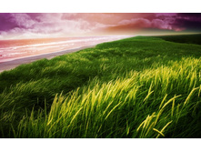 Imperturbable Dark.jpg