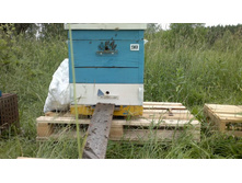 28062012417.jpg