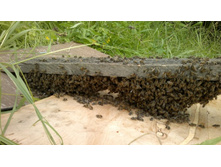 28062012421.jpg