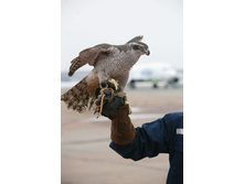 ������ �����. ���� �. ��������