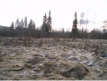 �������� � ���. ���������