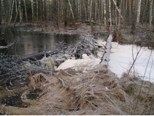 ��������. ��������