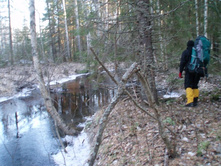 ������� �������������� �����