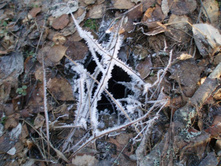 ��� �� ����