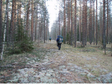 ���  ����� ���������� ���