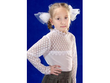 250 �. ������ bl-82