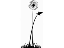 ��������� �� ��������.jpg