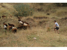 ���������� �������������