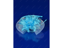 024 ������ (����)