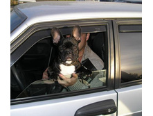 ������������