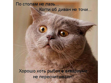 ����� � ��������� �� �������������.jpg