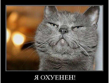 � �������.jpg