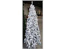 6018(1). ���� 10208 ������