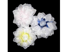 63 ���. ����