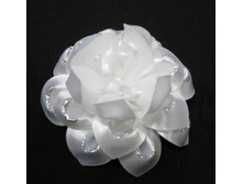 59 ���. ���� �����������