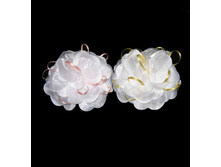 59 ���. ���� �����������