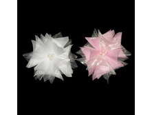 30 ���. ������������ ������